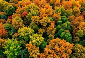 Vibrant autumn panorama with lush green and golden leaves ,  fabric,  graphic