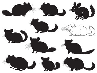 CHINCHILLA PET SILHOUETTE