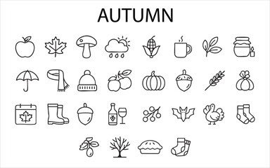a set of outline icons related to the autumn theme. Vector on a gray background