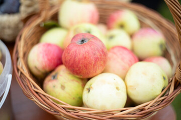 Apples in the basket. Apple harvest. Healthy fruits.