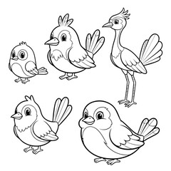 set of funny birds