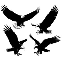 Obraz premium eagle vector illustration