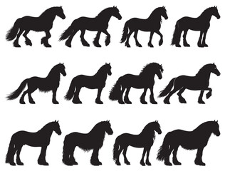 FRIESIAN HORSE SILHOUETTE