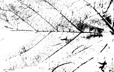 Abstract leaf texture overlay design element