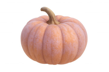 Obraz premium Realistic 3d pumpkin rendering, ripe orange gourd with curved stem, transparent background, ideal autumn graphic element