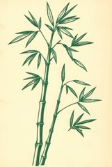 Obraz premium Traditional Bamboo Botanical Illustration