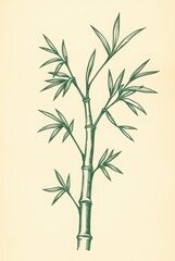 Obraz premium Classic Bamboo Stem and Leaves