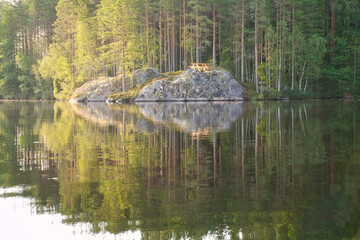 Rock in the forest lake, peace and natural harmony in the evening light