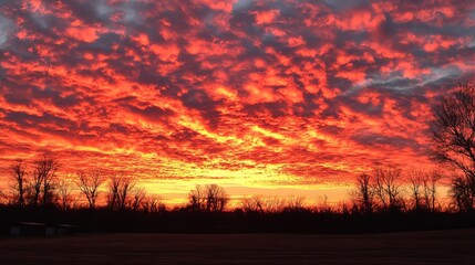 Fototapeta premium Fiery sunrise over a field