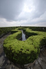 Serpentine Pathway Covered in Lush Green Moss Under Dramatic Cloudy Sky in a Tranquil Garden Setting