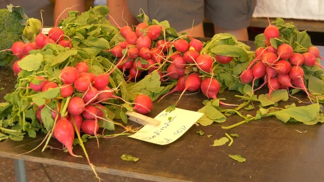 Fresh Radishes on Market Table. German Handwritten Price Tag