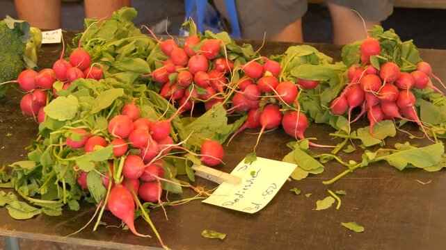 Fresh Radishes on Market Table. German Handwritten Price Tag