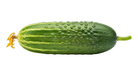 Isolated Armenian cucumber