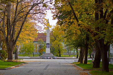 colorful autumn in rural village Backi Petrovac in Vojvodina province