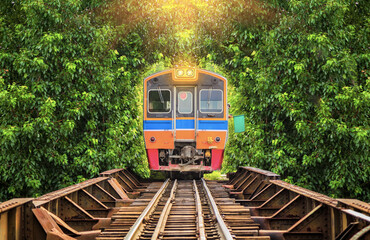 Obraz premium Train running in tree tunnel on the railway in Bangkok Thailand. focus at train