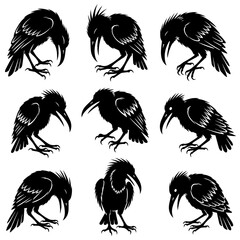 Obraz premium Vector silhouettes of crows in various poses on a white background.