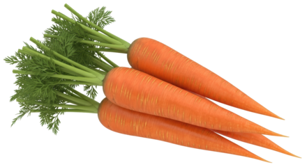 Isolated Carrots
