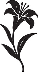 Graceful Lily Silhouette Vector Graphic