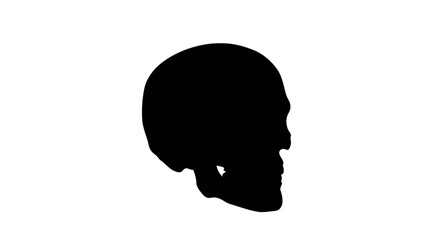 An ominous black skull profile, rendered as a bold silhouette, stands out vividly against a pristine white canvas, conveying themes of mortality and mystery.