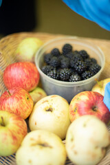 Apples and blackberries. The village harvest. Lots of berries and apples.