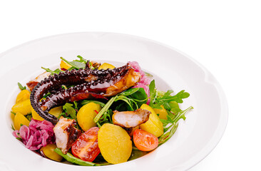 Grilled octopus salad with fresh vegetables and vibrant colors on a plate