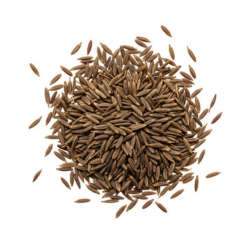 Top view of cumin seeds, organic spice ingredient for cooking, seasoning, and food packaging design. Isolated on white or transparent background. PNG format.