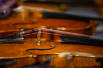 A close-up of a lying violin fragment in dark tones