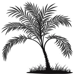 Naklejka premium Areca Palm