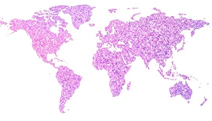 Abstract World Map with Textured Purple and Pink Elements.
