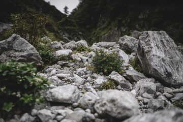 Rocky mountain ravine with small plants