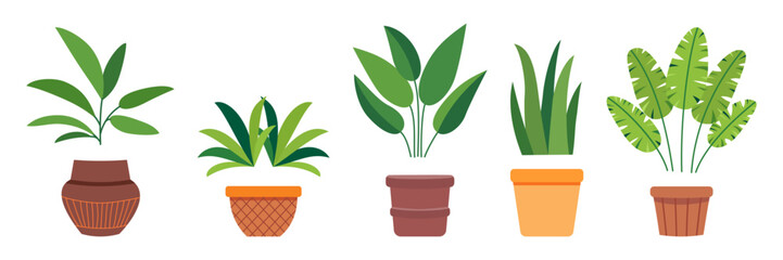 Collection of house plants in decorative pot. Flat vector illustration. Indoor and outdoor green plant for cozy decoration of home, garden, veranda, balcony, terrace, office, living area.