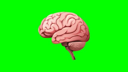 Playful cartoon brain floating on vibrant green backdrop, suitable for education or mental health related designs and projects. Colorful and whimsical.