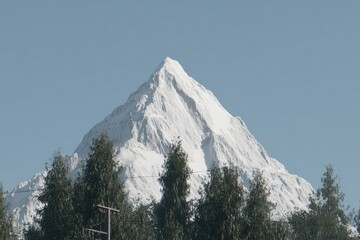 Snowy mountain peak rising above a line of trees
