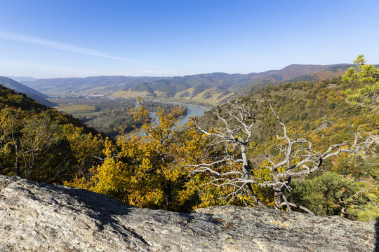 View of the shimmering river snaking through the valley, framed by autumn-kissed trees under a clear sky, a serene vista, D&Atilde;&frac14;rnstein, Nieder&Atilde;&para;sterreich, Austria.