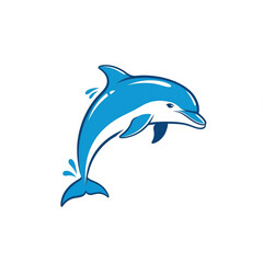 dolphin isolated on white background