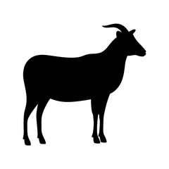 Fototapeta premium Silhouette of a standing goat on a white background illustration design