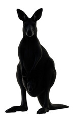 Silhouette of a standing kangaroo with joey in pouch