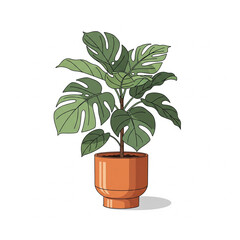 plant in a pot