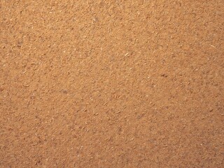 Fototapeta premium Abstract Organic Surface, Brownish Beige Tones and Fine Texture Fine Grain Detail.