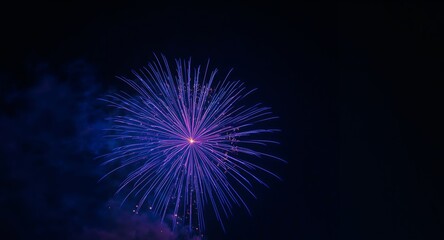 Celestial Bloom. An Abstract Burst of Light and Color in the Night Sky