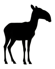 Obraz premium Silhouette of a standing saiga with distinctive nose