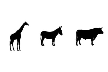Silhouettes of giraffe, donkey, and bull stand out boldly against a bright white background