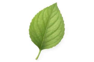 Green leaf with detailed veins isolated on a transparent background, perfect for nature-themed projects