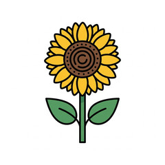 sunflower vector illustration