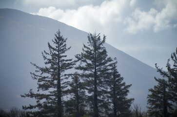 Nephin Mountain, County Mayo, Ireland 