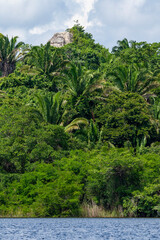 Lamanai, a Mesoamerican archaeological site surrounded by lush tropical forest.