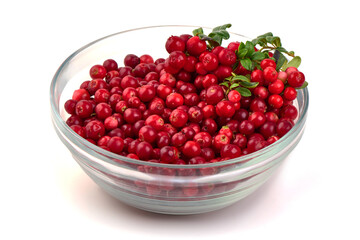 Lingonberries in glass bowl, isolated on white background