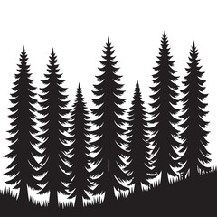 Obraz premium Silhouette of a dense evergreen forest with tall conical pine trees against a stark white background evoking a sense of wilderness and natural beauty