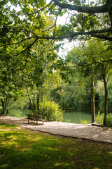 Green leisure area with trees and path