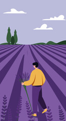 Person walks through a stunning lavender field, carrying a fresh bouquet. Ideal for themes of nature, harvest, travel, relaxation, and wellness.